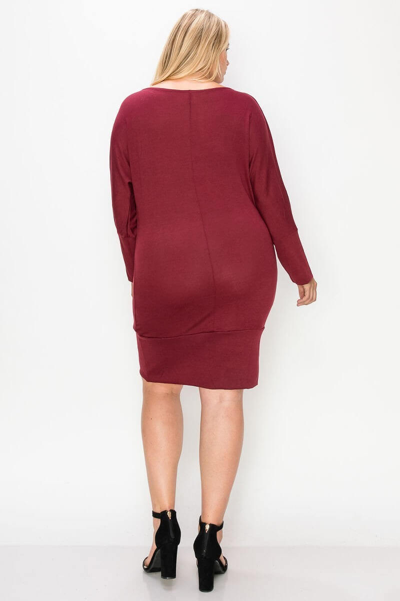 Draped Neck Long Sleeve Dress - The Diva Goddess