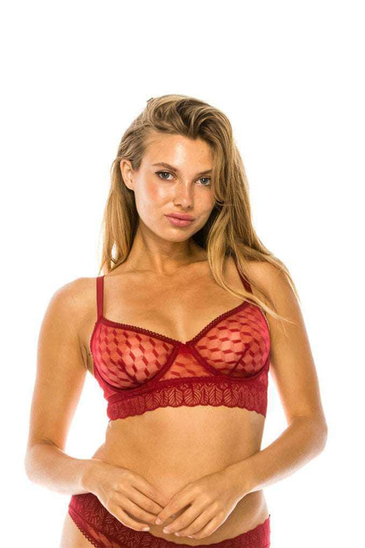 Mesh Underwire Bra - The Diva Goddess