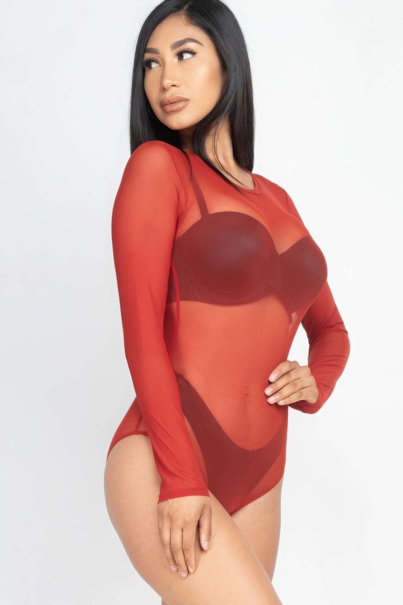 Sexy Sheer Mesh Long Sleeve Bodysuit - The Diva Goddess