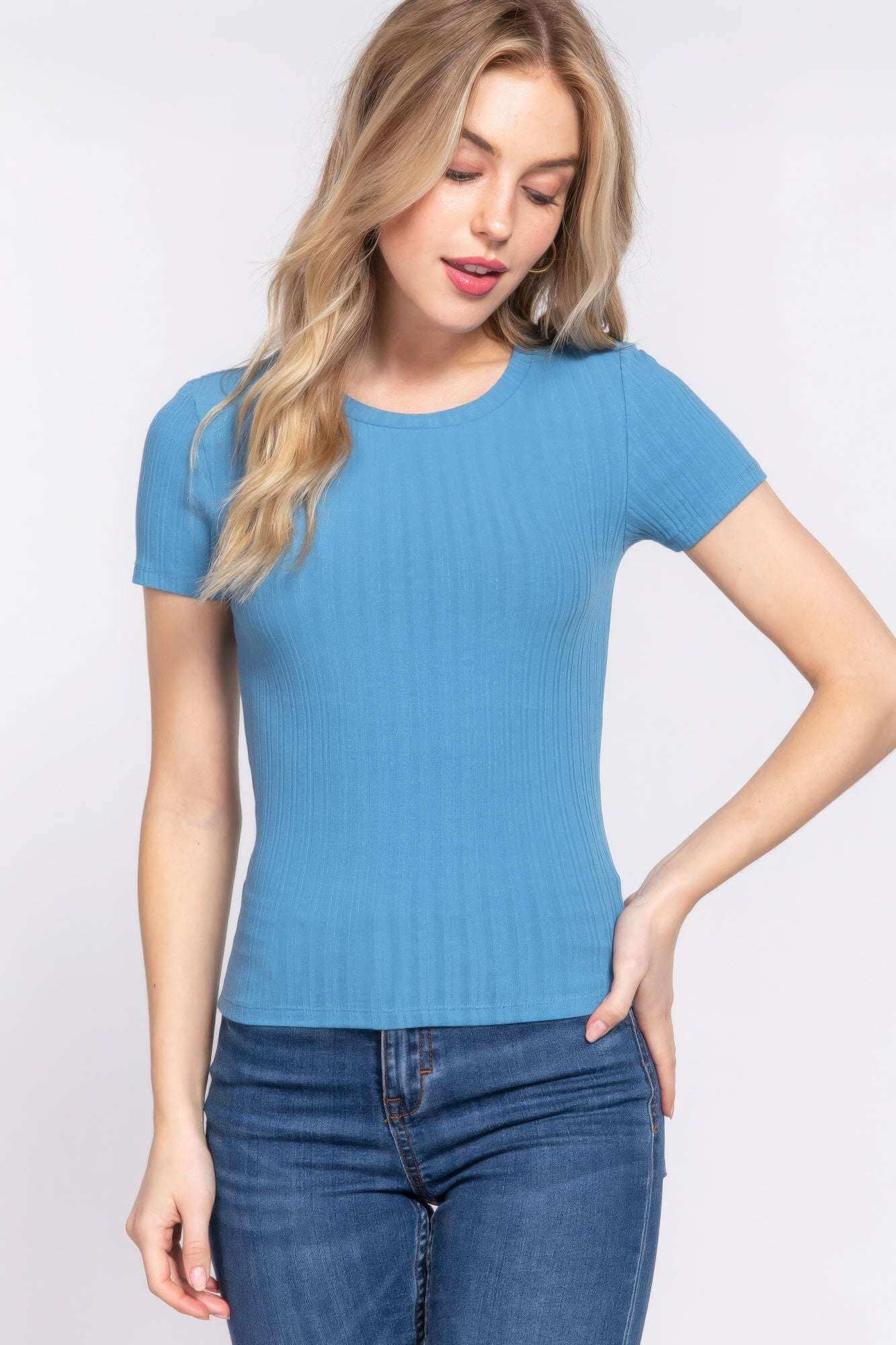 Short Slv Crew Neck Variegated Rib Knit Top - The Diva Goddess