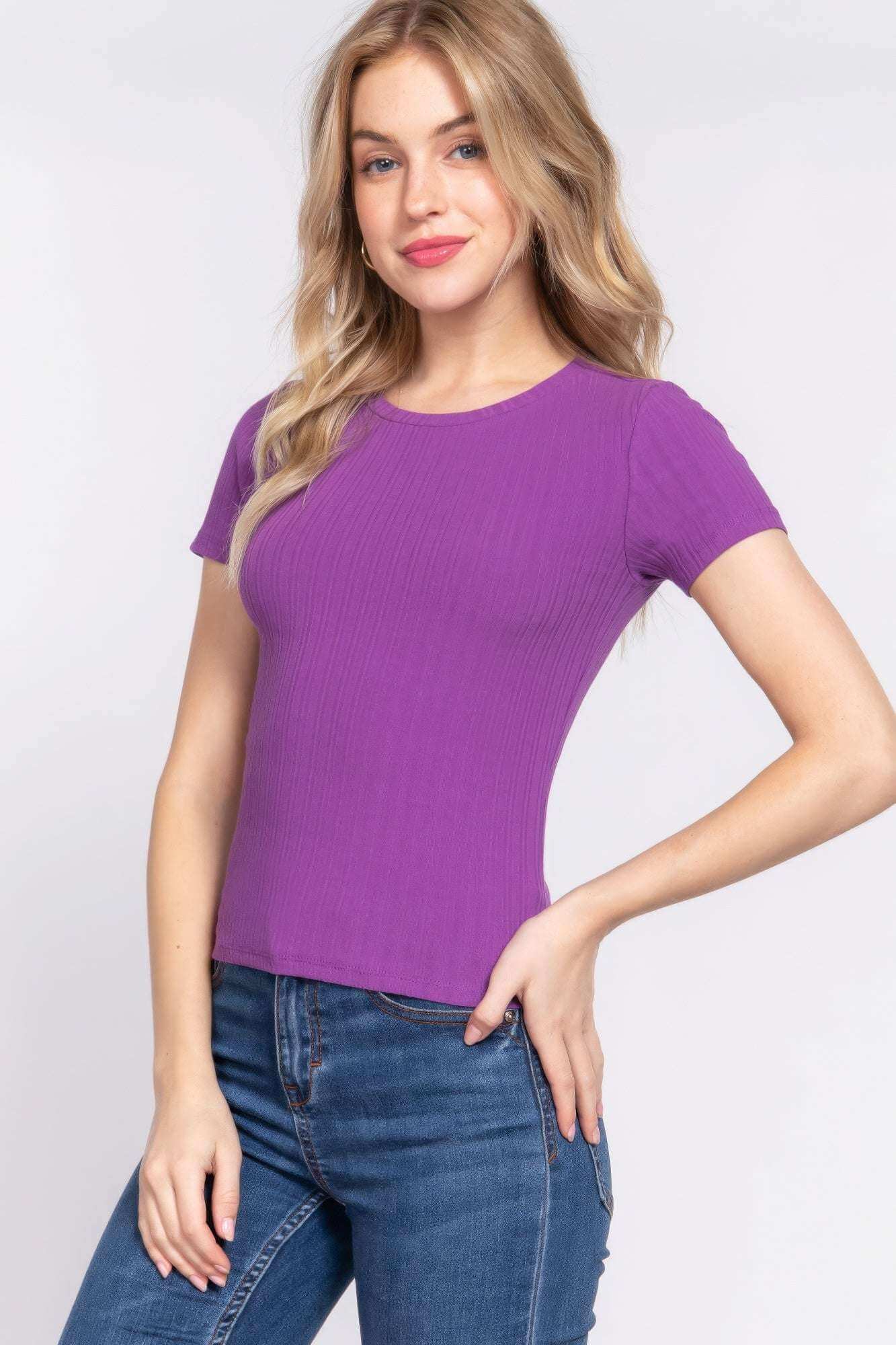 Short Slv Crew Neck Variegated Rib Knit Top - The Diva Goddess